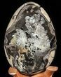Huge, Septarian Dragon Egg Geode - Crystal Filled #50826-1